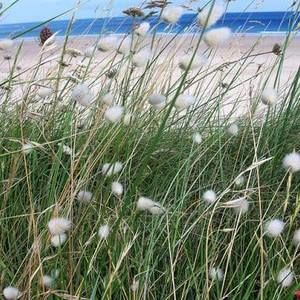 Meet your Posher, Mel